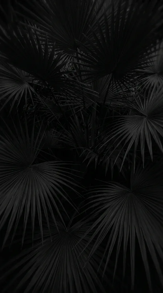 Fondo